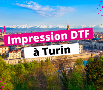 Photo of the city of Turin