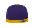 PURPLE / GOLD
