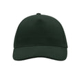 BOTTLE GREEN