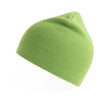 ACID GREEN