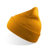 MUSTARD