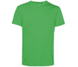 APPLE GREEN
