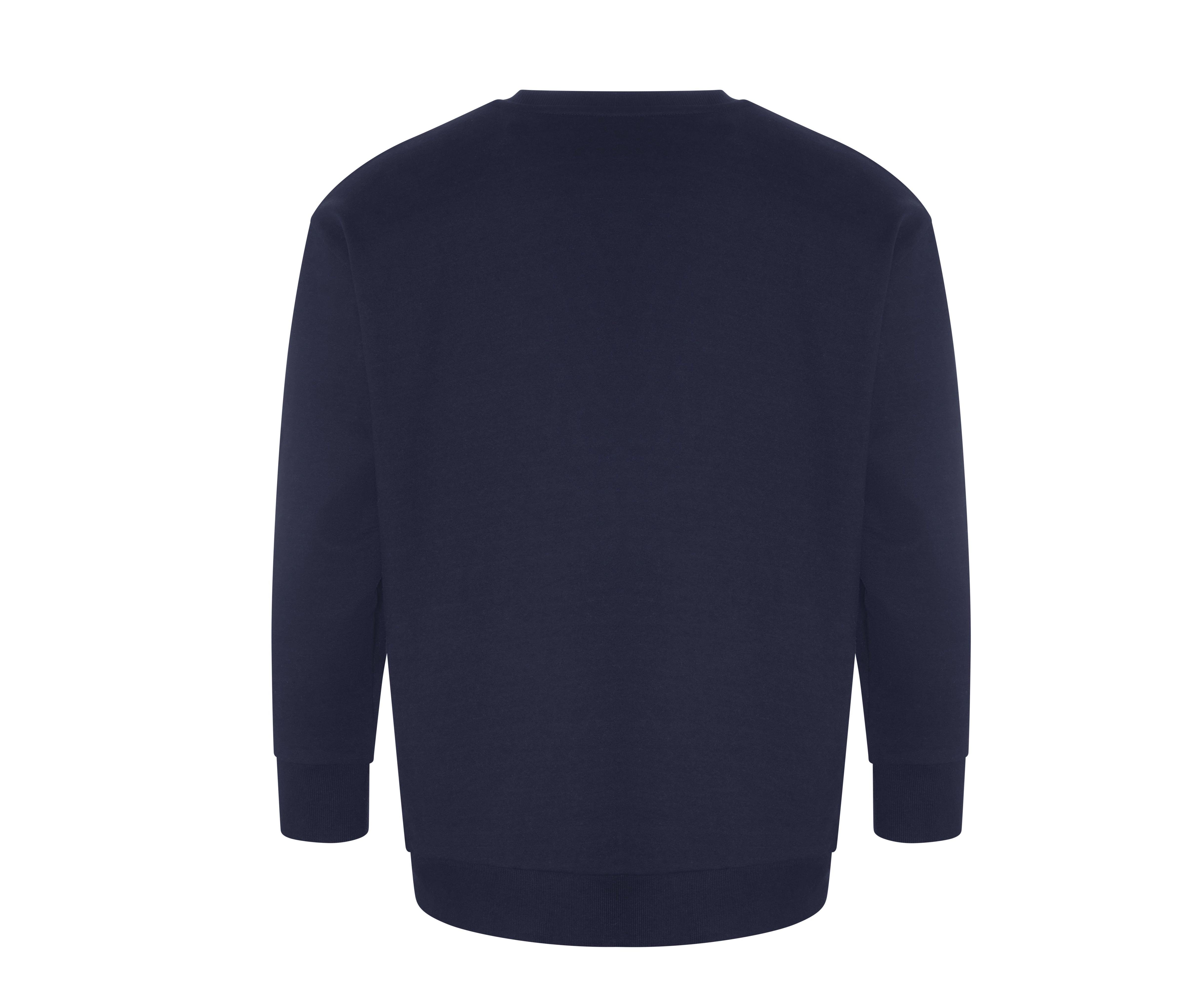 Sweat en coton et polyester recyclés - ECOLOGIE - #EA032