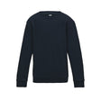 NEW FRENCH NAVY