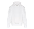 ARCTIC WHITE