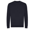 NEW FRENCH NAVY