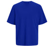 SURF THE WEB BLUE