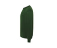 BOTTLE GREEN