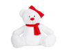WHITE / RED