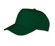 BOTTLE GREEN