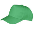 APPLE GREEN