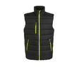 BLACK / LIME