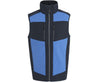 STRONG BLUE / NAVY