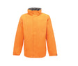 SUN ORANGE/SEAL GREY