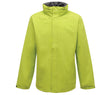 KEY LIME/SEAL GREY