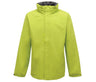 KEY LIME/SEAL GREY