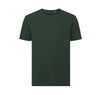 BOTTLE GREEN