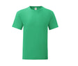VERDE KELLY