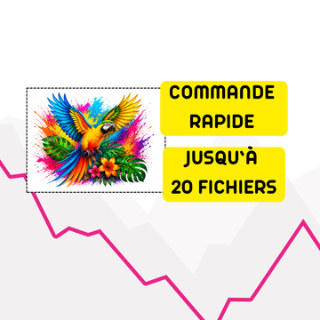 Commande rapide en lot ⚡️