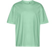 DUSTY MINT
