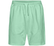 DUSTY MINT