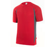 ROJO/GRIS